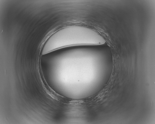 X0000056010051200508190904