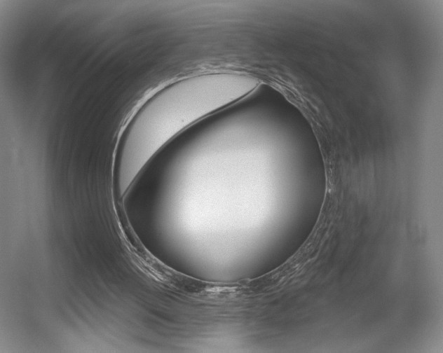 X0000056010052200508190905