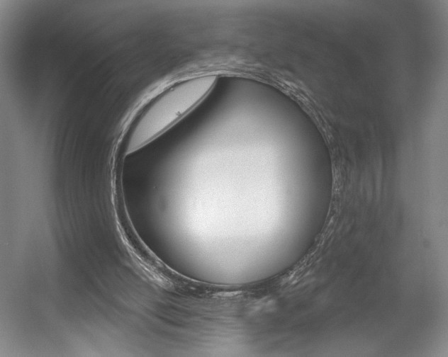 X0000056010054200508190905