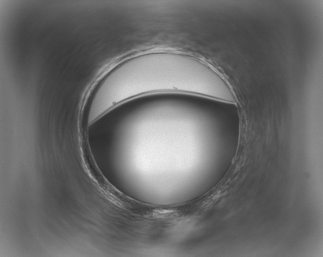X0000056010055200508190905