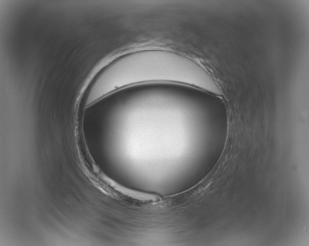 X0000056010056200508190905