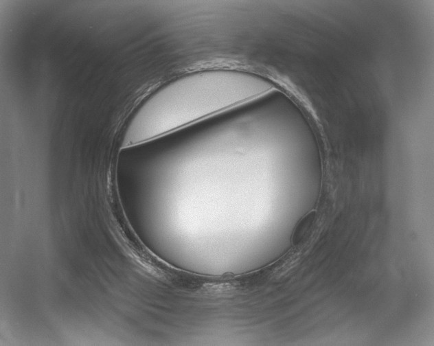 X0000056010057200508190905