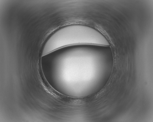 X0000056010058200508190905