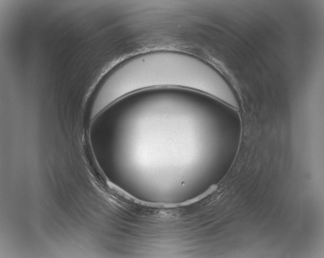 X0000056010060200508190905