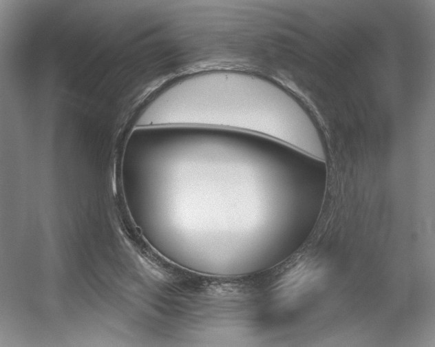 X0000056010062200508190905
