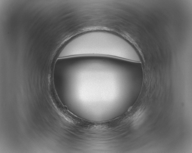 X0000056010063200508190905