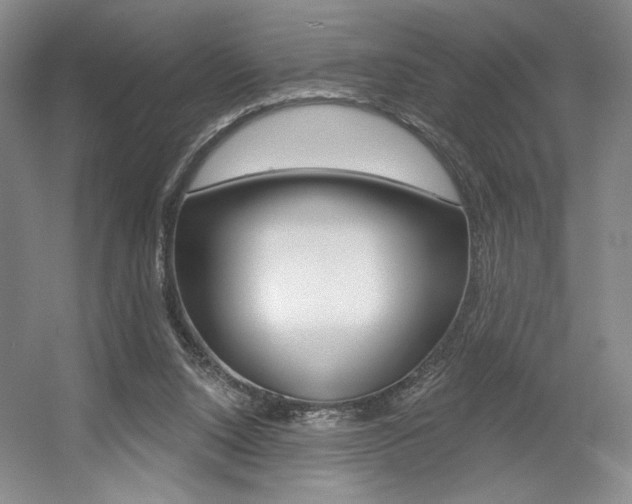 X0000056010064200508190905