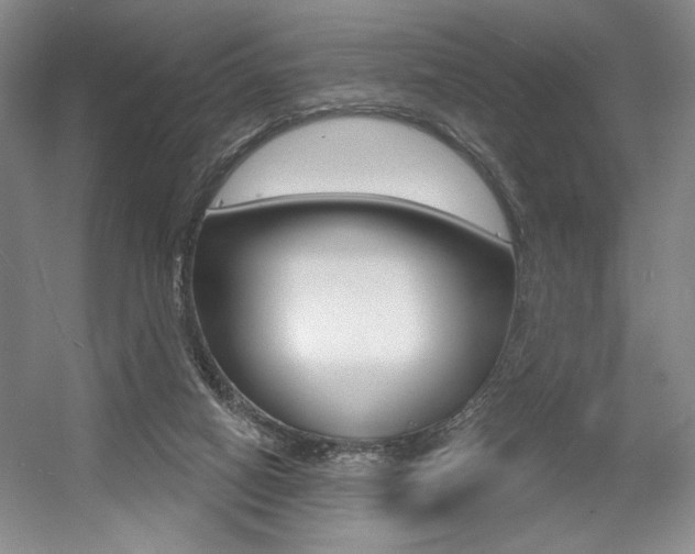 X0000056010066200508190905