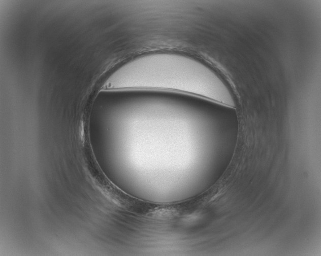 X0000056010067200508190905