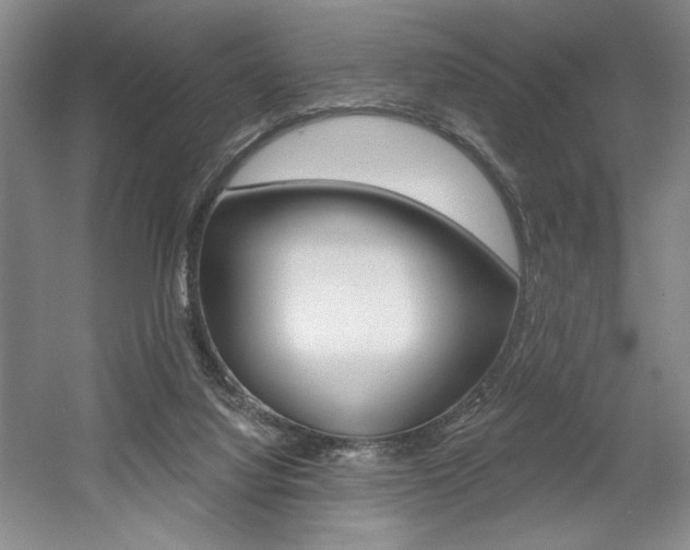 X0000056010068200508190905