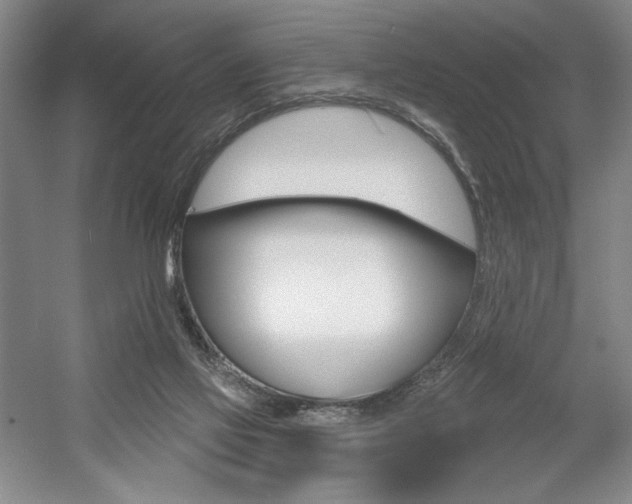 X0000056010069200508190905