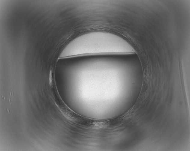 X0000056010070200508190905