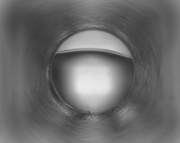 X0000056010071200508190905