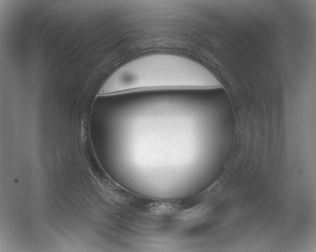 X0000056010074200508190905
