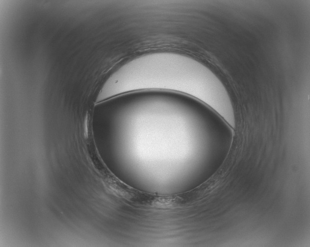 X0000056010076200508190905