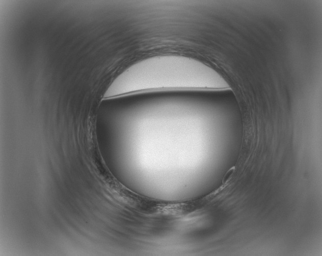 X0000056010078200508190905