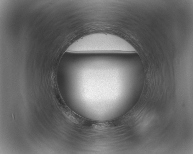 X0000056010079200508190905