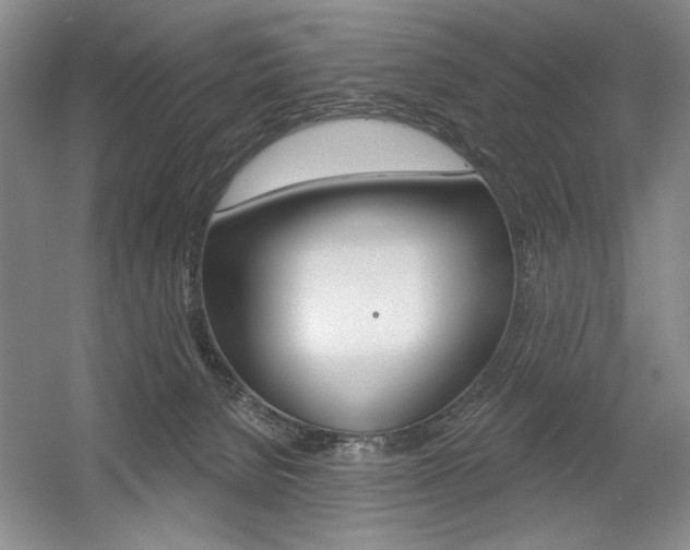 X0000056010080200508190905