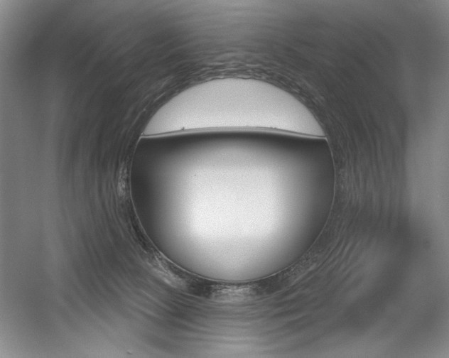 X0000056010081200508190905