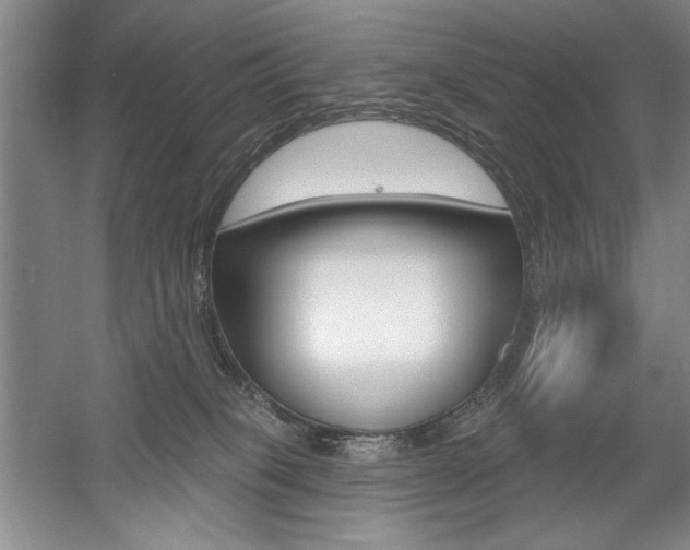 X0000056010085200508190905