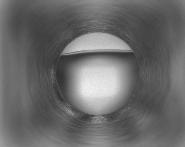 X0000056010087200508190905