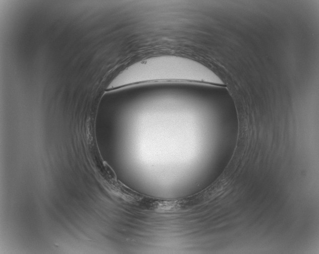 X0000056010088200508190905