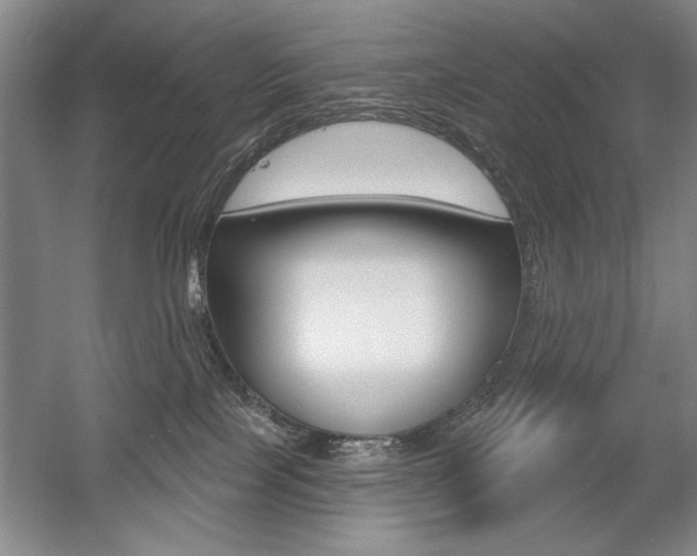 X0000056010089200508190905