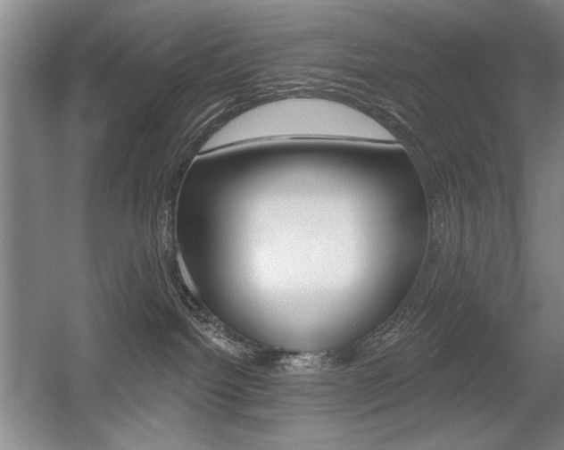 X0000056010092200508190905