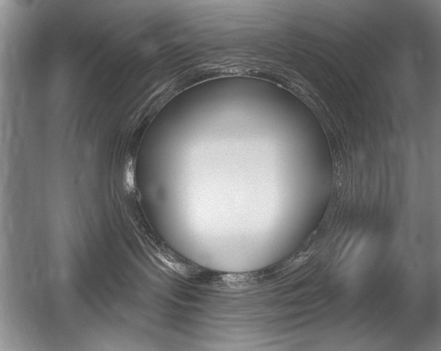 X0000056010095200508190905