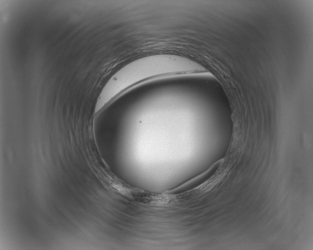 X0000056010096200508190905