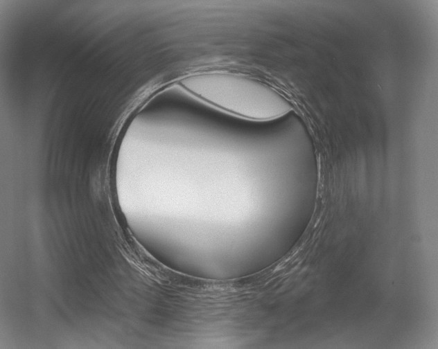 X0000056010099200508190904