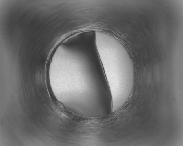 X0000056010100200508190904