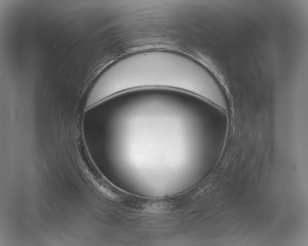 X0000056010105200508190904