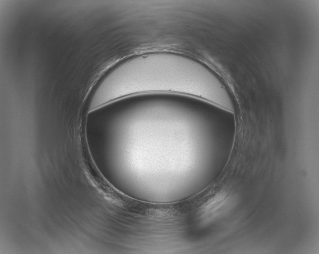 X0000056010107200508190904