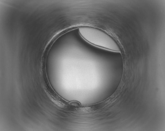 X0000056010108200508190904