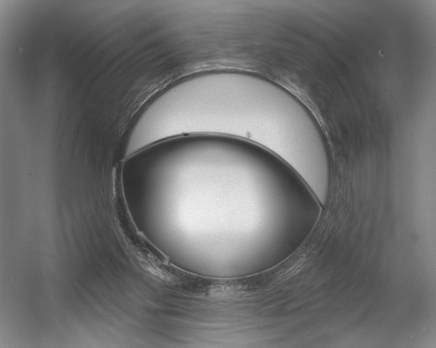 X0000056010109200508190904