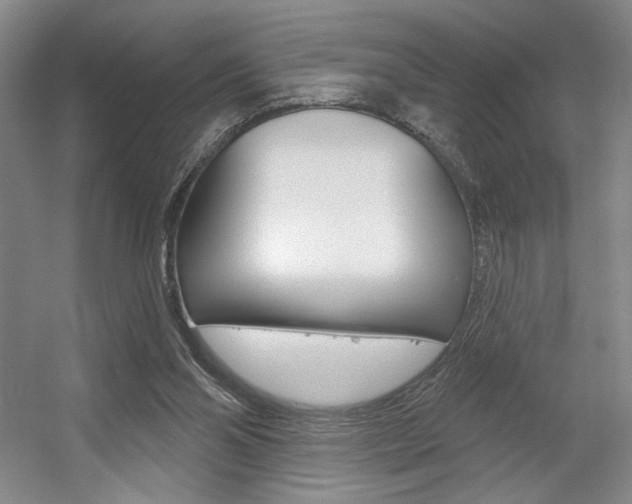 X0000056010110200508190904