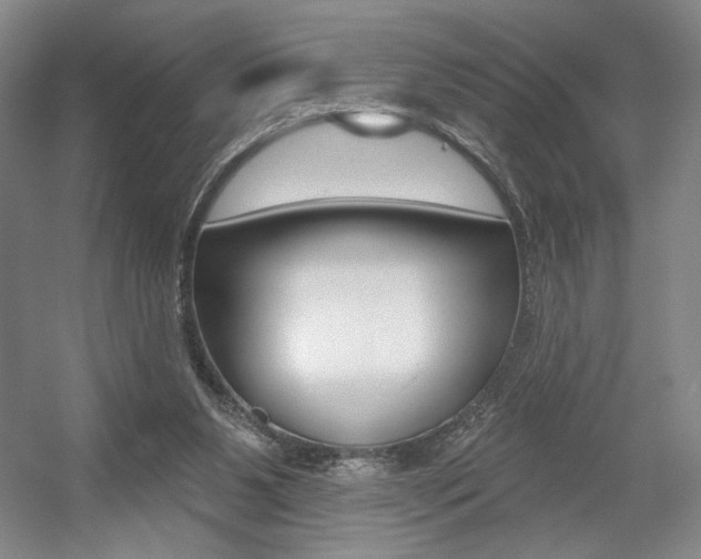 X0000056010111200508190904