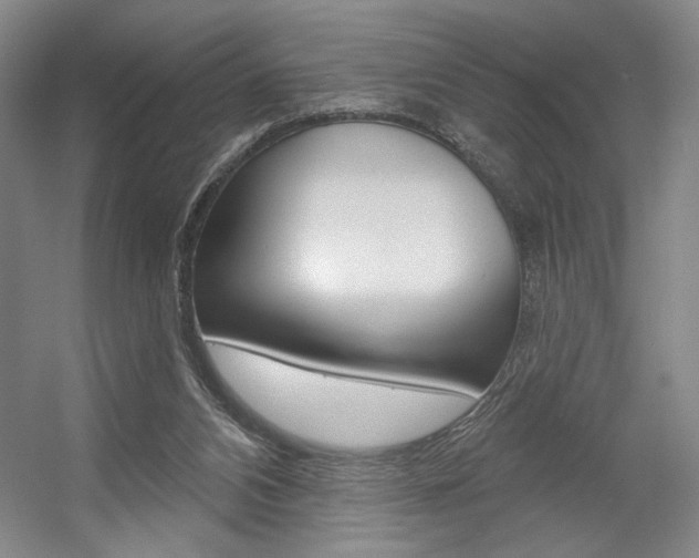 X0000056010112200508190904