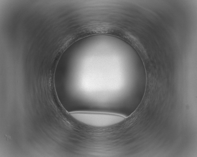 X0000056010113200508190904