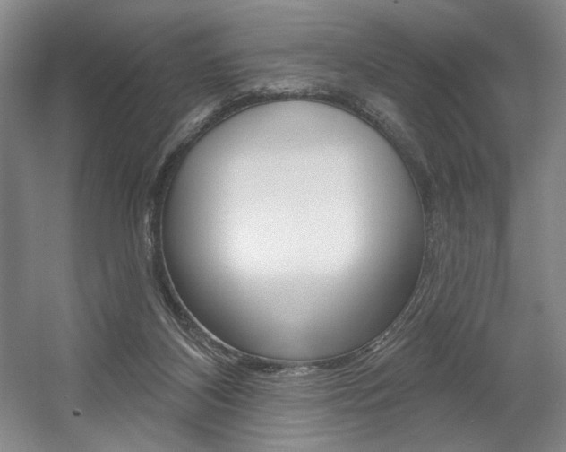 X0000056010116200508190904