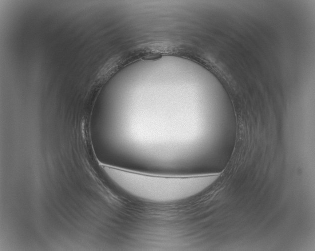 X0000056010117200508190904