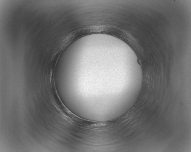 X0000056010118200508190904