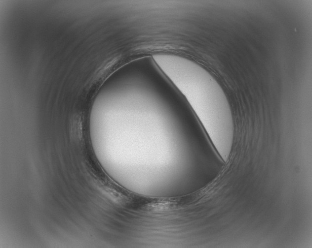 X0000056010120200508190904