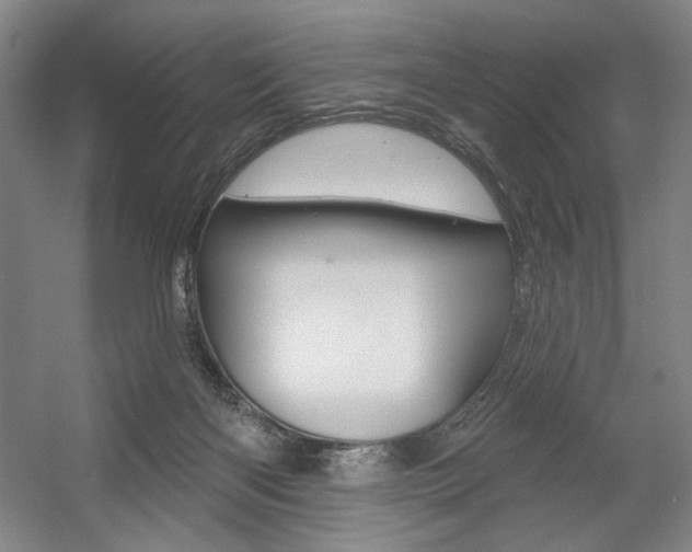 X0000056010122200508190904