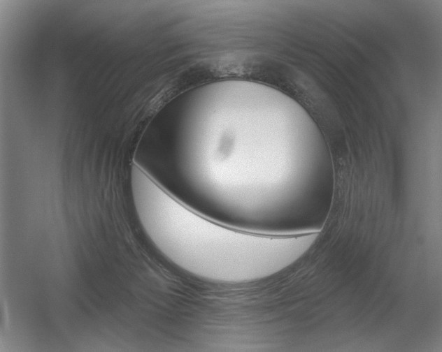 X0000056010125200508190904