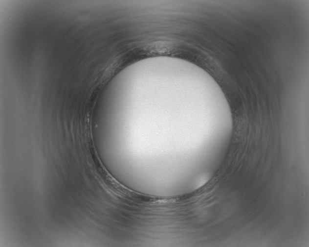 X0000056010126200508190904
