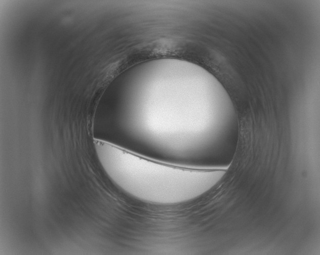 X0000056010127200508190904