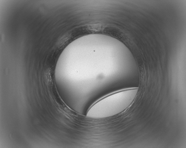 X0000056010128200508190904