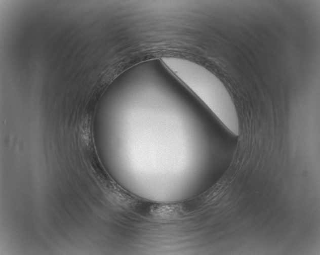 X0000056010129200508190904